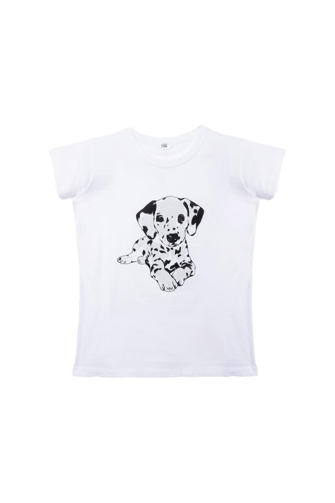 54143 DALMATABIANCO EGG FAMILY