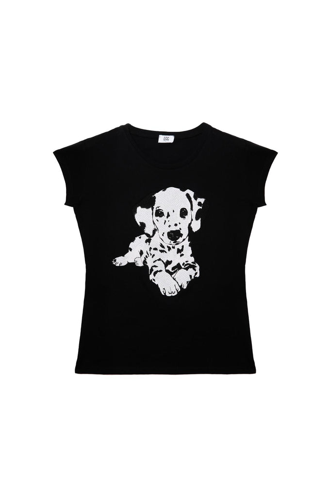 54143 DALMATANERO EGG FAMILY