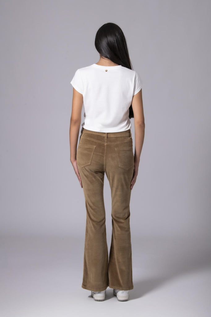 ZG918BEIGE EGG FAMILY